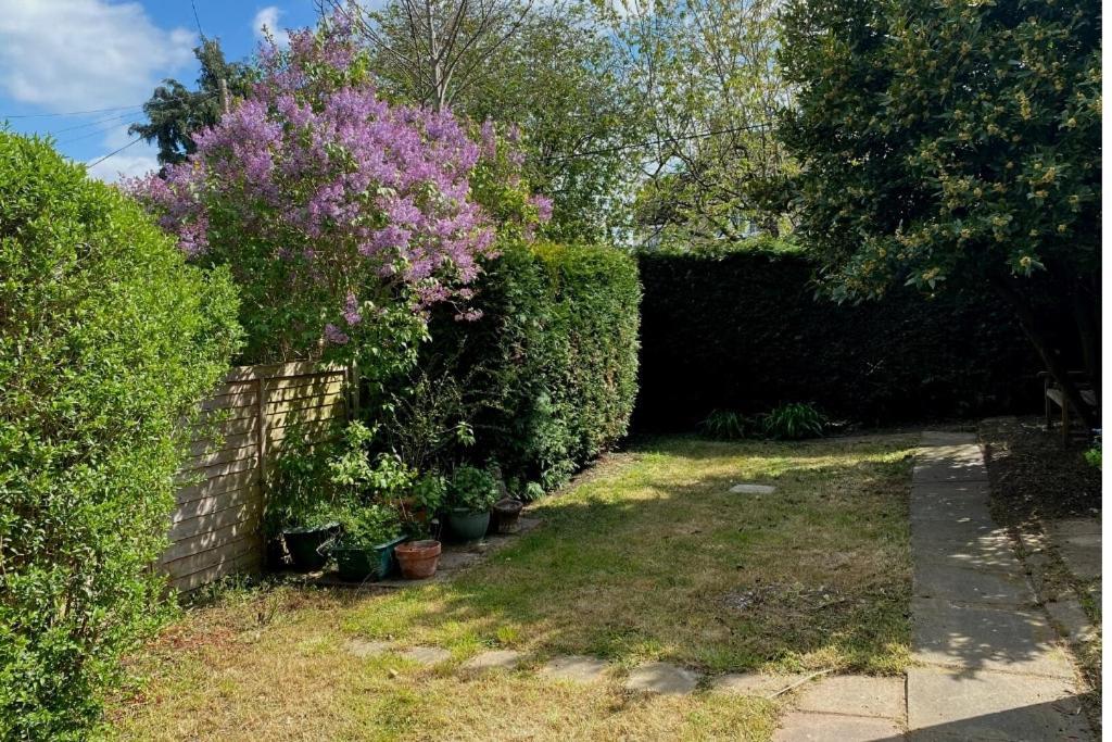 Lovely 3 Bedroom House In The Centre Of Lavenham Eksteriør billede